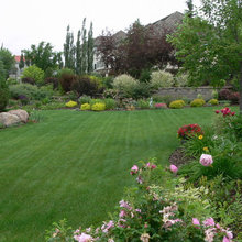 landscaping ideas