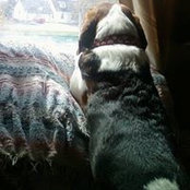 Sandi Layhee's photo