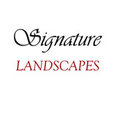 Signature Landscapes's profile photo