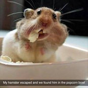 Sue Christopherson's photo
