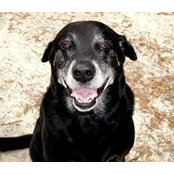 Floyd Boatwright's photo