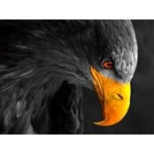 Alan Storey's photo
