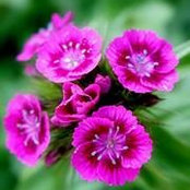 Samantha Seefeld's photo