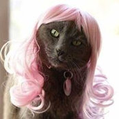 Michelle Leonard's photo