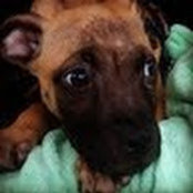 Tabatha Jensen's photo