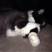 Pam Curnow's photo