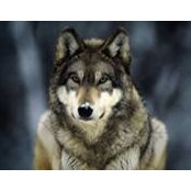 Foto di Kathy Shay