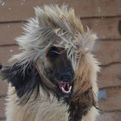 Craig Keeling's photo