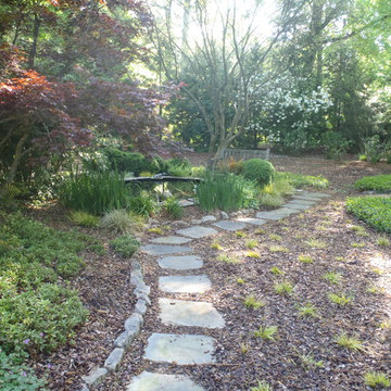 Garden Vignettes