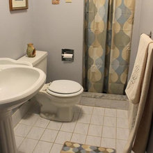 Basement Bathroom Mini Reno