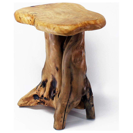 Unique Root End Table