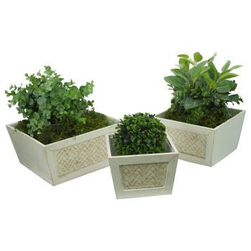 Set Of 3 Contemporary Liner Square Wood Pot Planter, White Wash