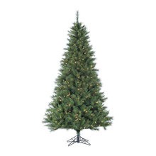 christmas trees