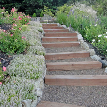 Danville, Saddleback Dr. 1,200 Vine Vineyard