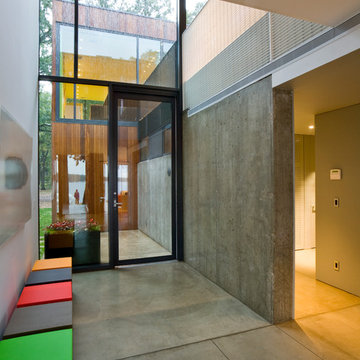 Modernist Homes
