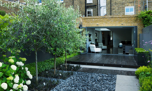 Современный Сад by Charlotte  Rowe Garden Design