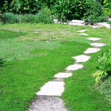 Lawn alternatives