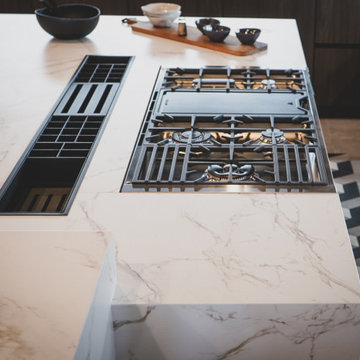 Palm Springs Modern Kitchen