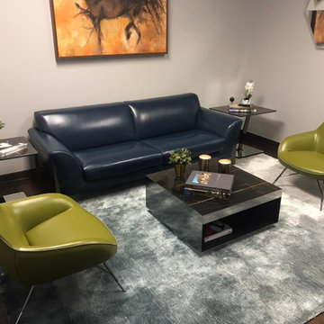 Roche Bobois Woodway Offices