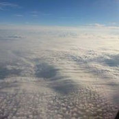 Daniel Miller's photo