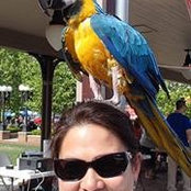 Ann Morrison's photo