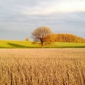 Foto von Emily Emerick