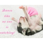 Christina Beckerman's photo