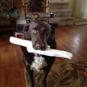 Joan Gurtler's photo