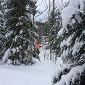 Jacob Beckman's photo