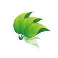 Kleiderhaus's profile photo