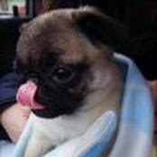 Angela Chang's photo
