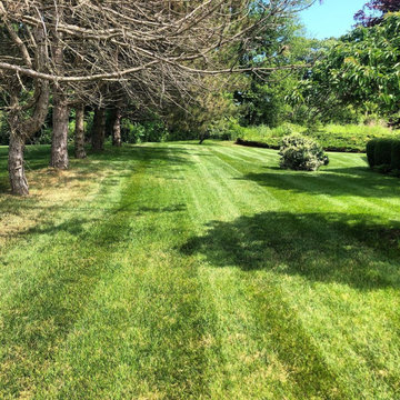Grass Cutting