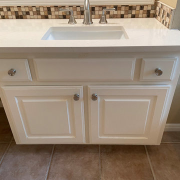MASTER BATHROOM - Remodel Shower / Tub / Vanity Counter 12 x 24 Tile / Quartz