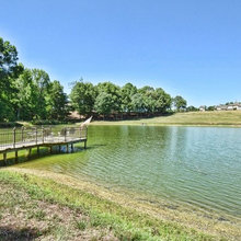 Pond