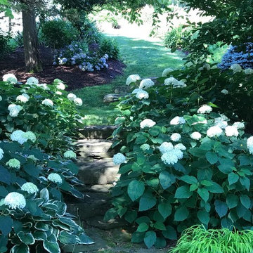 Garden Beds