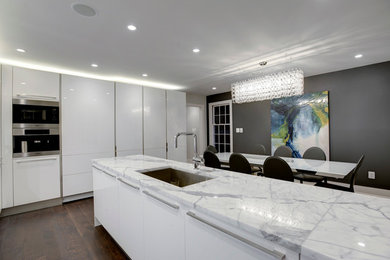 Example of a trendy kitchen design in DC Metro