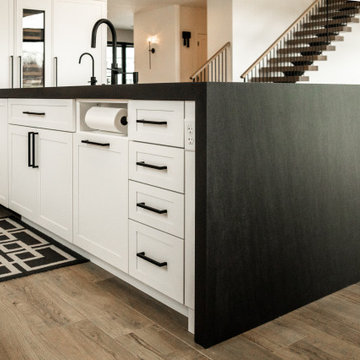 Palatine home remodel