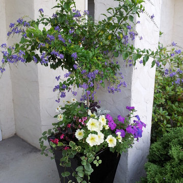Garden Management