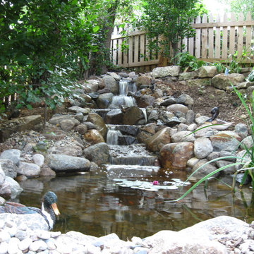 Koi Ponds and Water Gardens