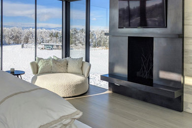 Inspiration for a modern bedroom remodel in Denver