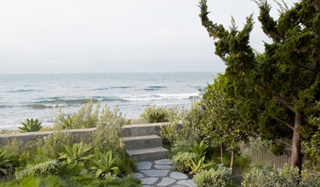 USA Houzz: Surf's Up for a Transformed Cape Cod-Style House
