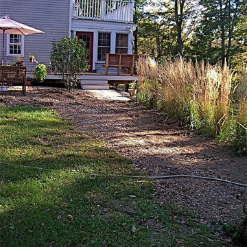Mixed border planting