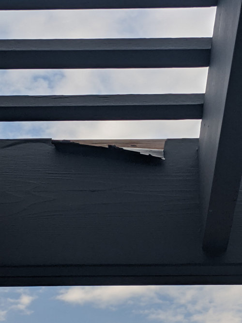 best wood stain brands