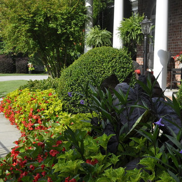 2019 GALA: Georgia Landscape Award - Distinction Award Winners