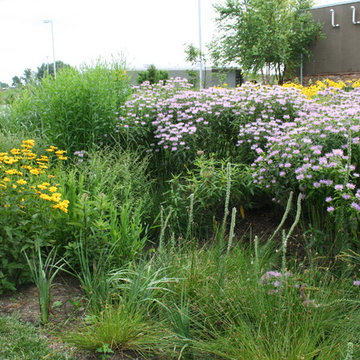 Fireworks Restaurant Rain Garden