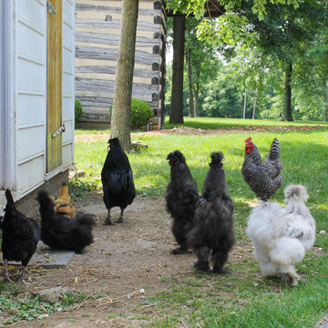 My Houzz: A Dream of Country Living Comes True