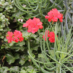 Living Wall System Residential - Products