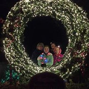 Jodi Belcher's photo