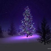 Todd Stewart's photo