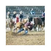 Russell Solberg's photo